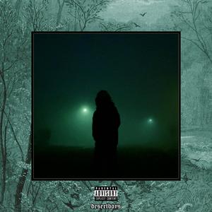 宅男视频在线网站
